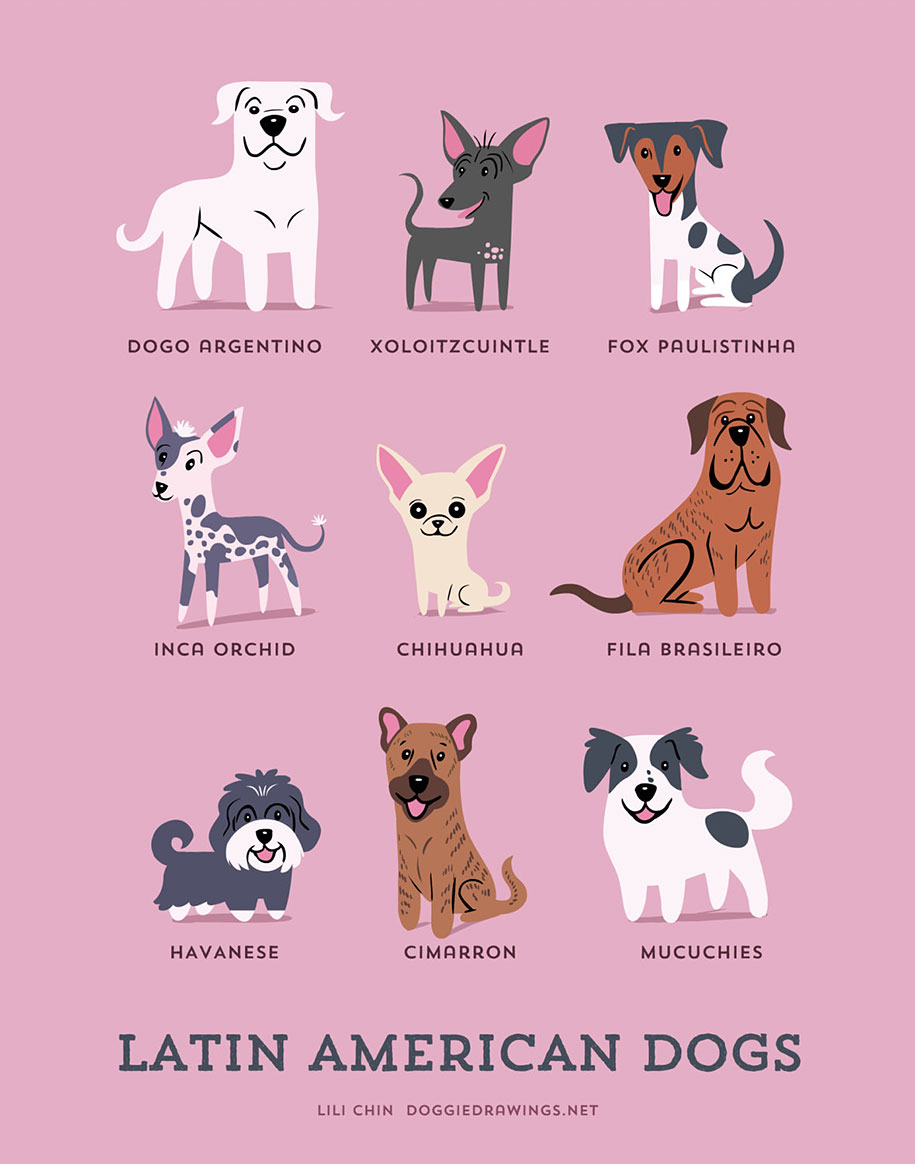 The Origins Of 200 Dog Breeds Explained In Adorable Posters DeMilked