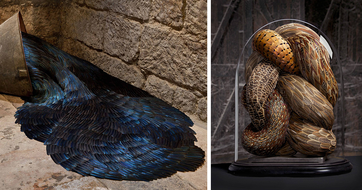 Otherworldly Bird Feather Sculptures By Kate MccGwire DeMilked