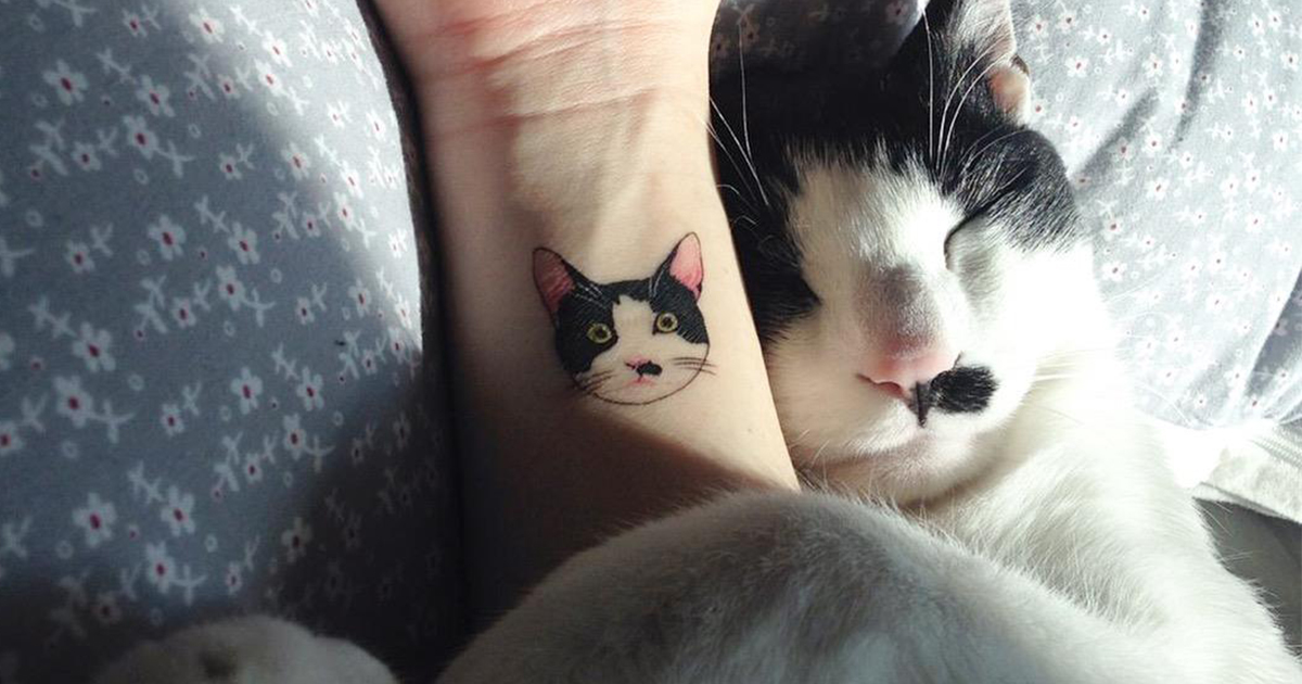 Cat Tattoos Are The Cutest Crime In South Korea DeMilked