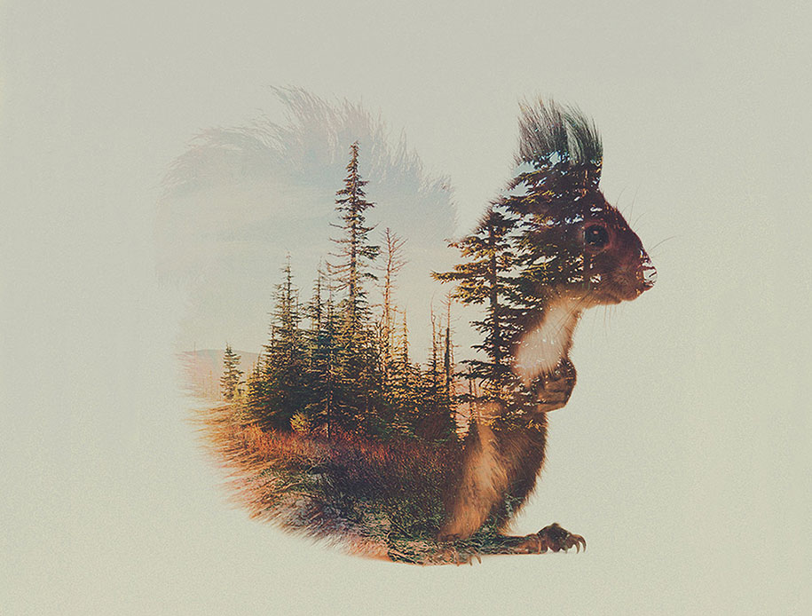 Norwegian Artist Merges Animals And Their Homes In Double Exposure 