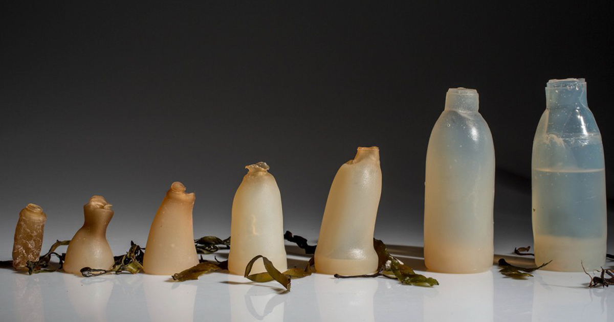100 Biodegradable Algae Bottles Is The New Alternative To The Plastic Ones DeMilked