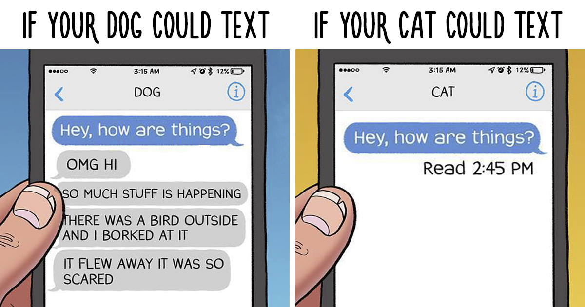 10+ Hilarious Comics That Perfectly Illustrate The Differences Between Cats And Dogs DeMilked