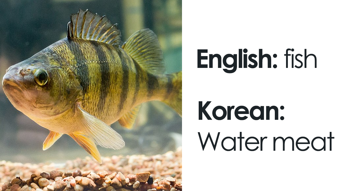 30 Hilarious Literal Translations Of Phrases In Foreign Languages