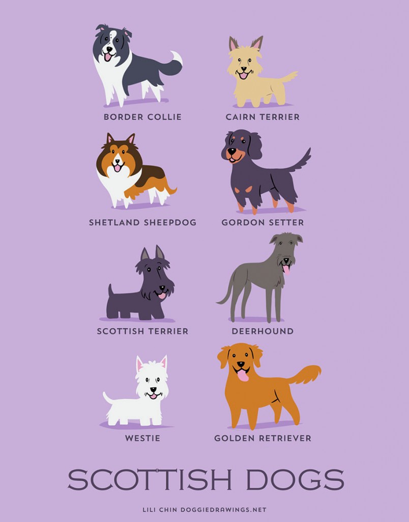 The Origins Of 200 Dog Breeds Explained In Adorable Posters DeMilked