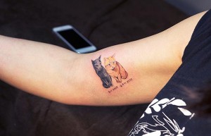 Cat Tattoos Are The Cutest Crime In South Korea | DeMilked