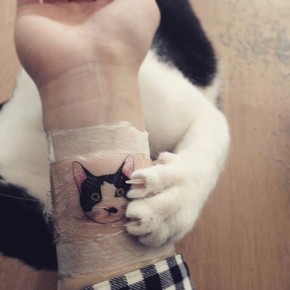 Cat Tattoos Are The Cutest Crime In South Korea | DeMilked