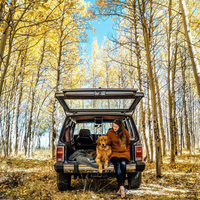 Aspen Is The Majestic Dog That Accompanies His Owners On Wilderness