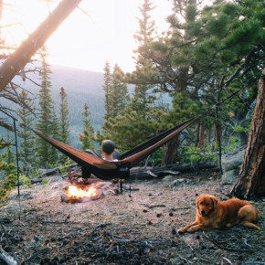 Aspen Is The Majestic Dog That Accompanies His Owners On Wilderness