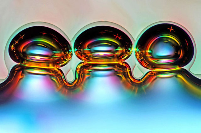 Winners Of Nikon Macro Photography Competition 2016 | DeMilked