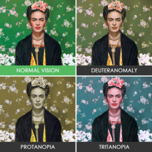 You'll Be Surprised How People With Color Blindness See The World (10