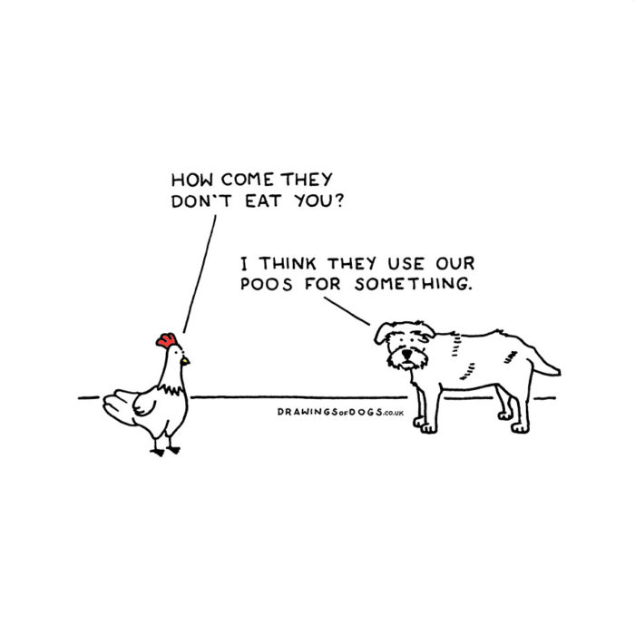 If Dogs Could Speak: Artist's Hilarious Illustrations That Helped Him