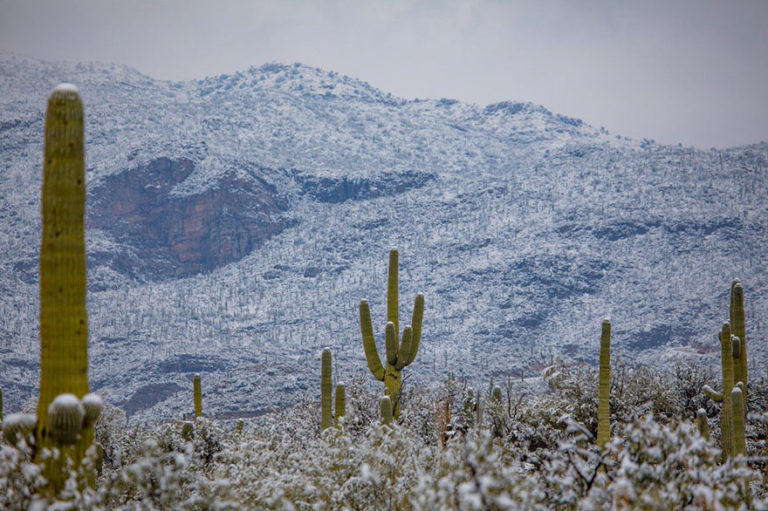 Snow Just Fell In Arizona Desert And Even Though These 17 Photos Look