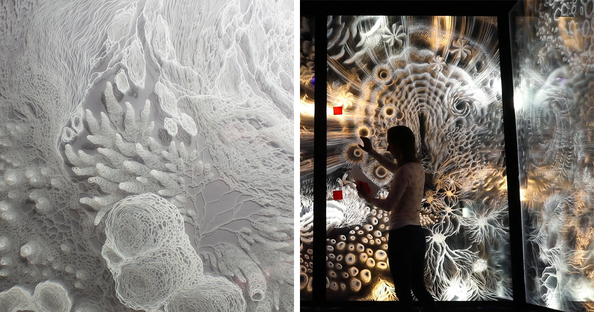 アート/エンタメ/ホビー ILLUMINANCE kXkambx8JfP5i27bFoYvDR-1600-80.jpg