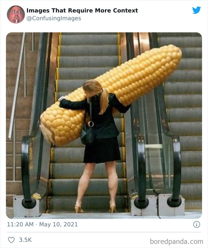 20 Hilarious No Context Pics Shared By The Images That Require More 