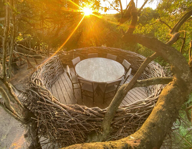 This Artist Uses Branches To Create Stunning Sculptures And Human-Sized ...