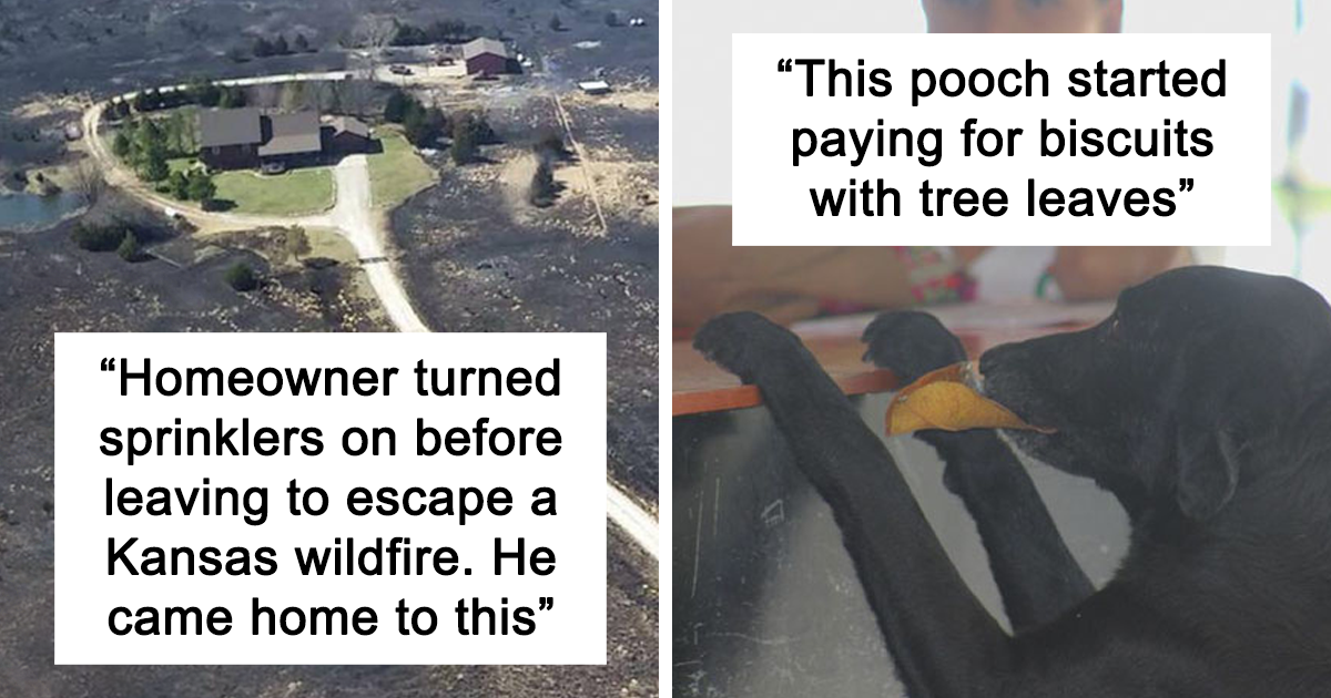 MOST INTERESTING WEIRD FACTS visual data 3