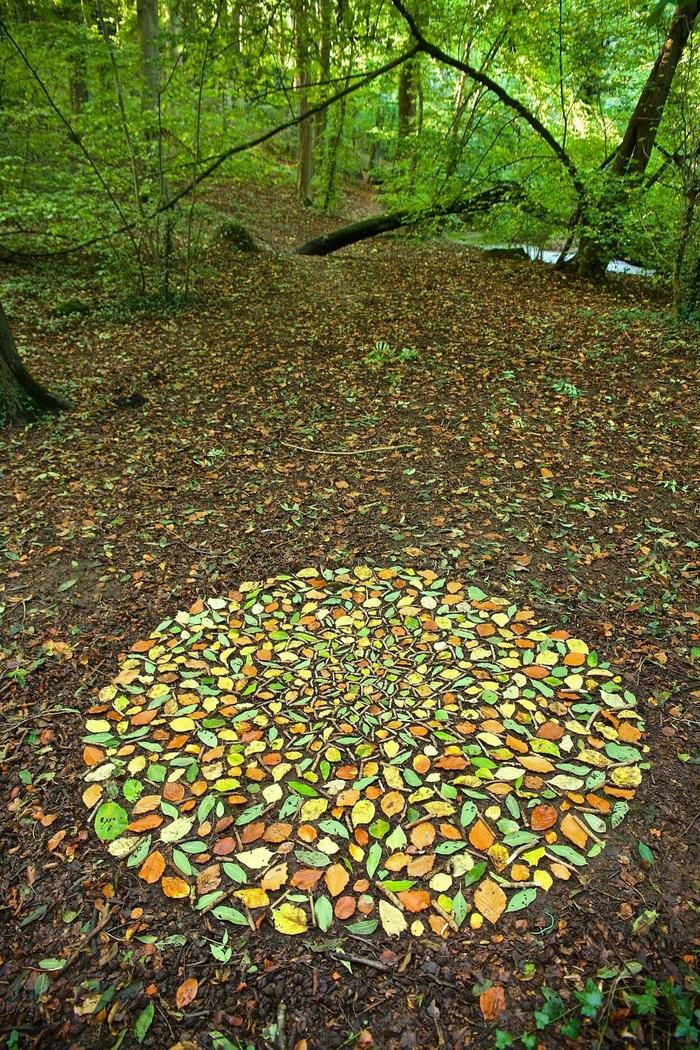 This Mushroom Is So Perfect It Looks Fake : r/oddlysatisfying