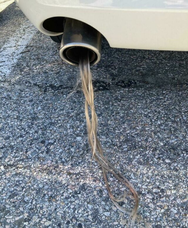 “Ok, I’m Outta Here” 30 Disturbing And Creepy Images Captured On