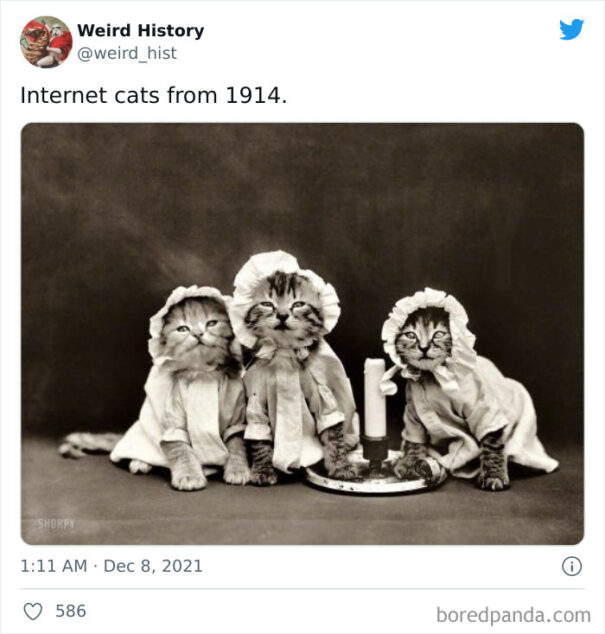 30 Of The Most Interesting Posts From The ‘Weird History’ Twitter ...