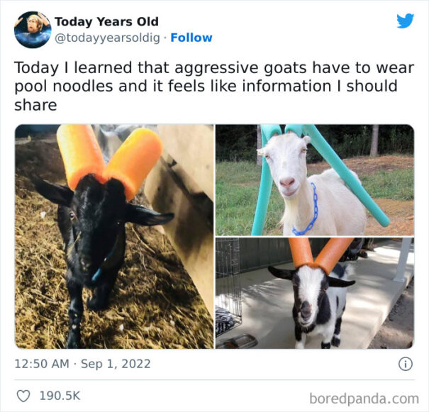 30 “Today Years Old” Facts That Prove It’s Never Too Late To Learn