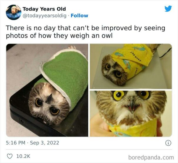 30 “Today Years Old” Facts That Prove It’s Never Too Late To Learn