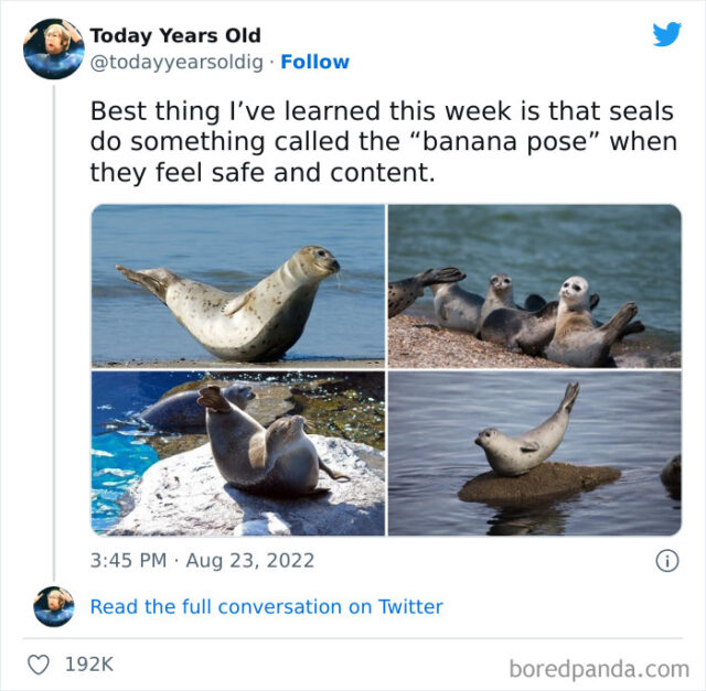 30 “Today Years Old” Facts That Prove It’s Never Too Late To Learn