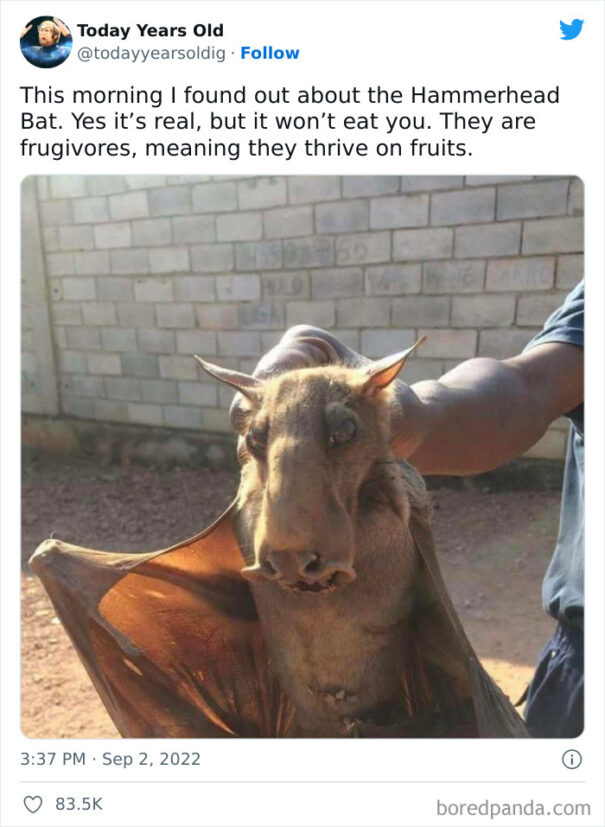 30 “Today Years Old” Facts That Prove It’s Never Too Late To Learn