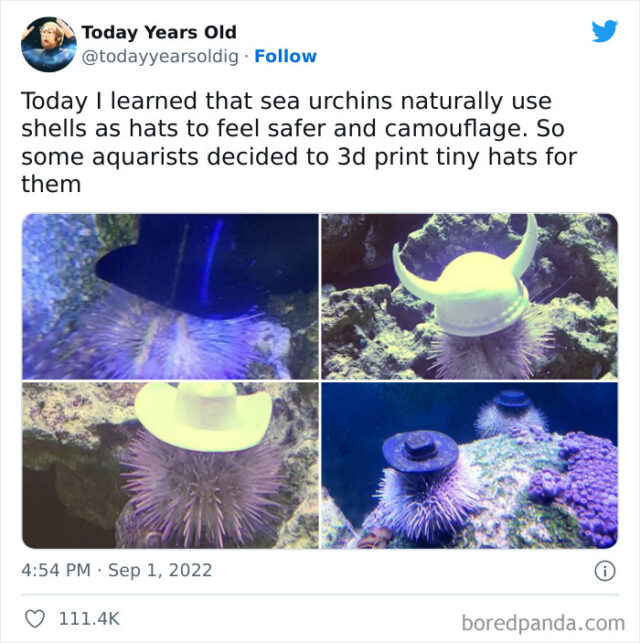 30 “Today Years Old” Facts That Prove It’s Never Too Late To Learn