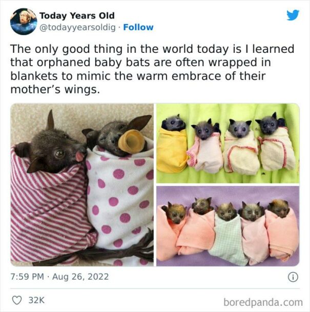 30 “Today Years Old” Facts That Prove It’s Never Too Late To Learn