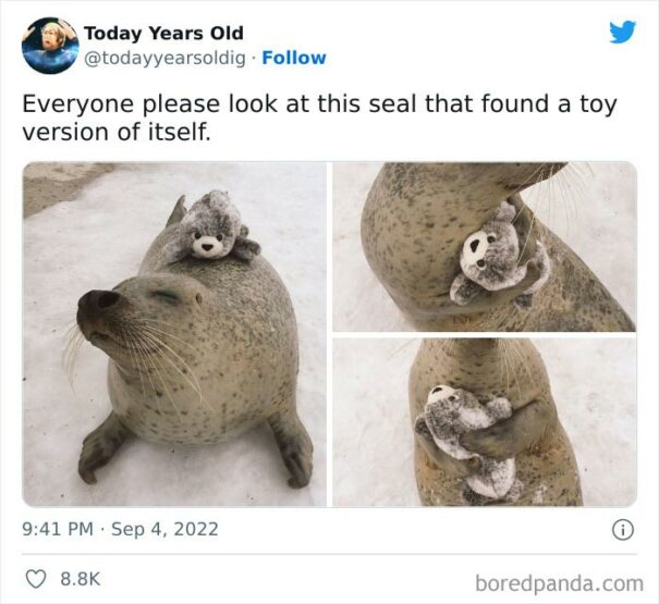 30 “Today Years Old” Facts That Prove It’s Never Too Late To Learn