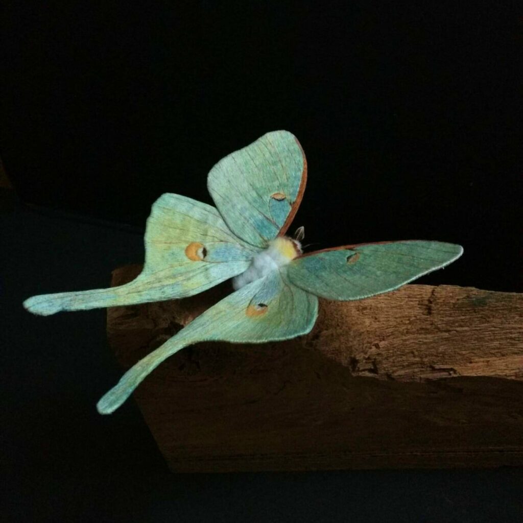 Curated visual reference: Picture Idea: This Artist Creates Fiber Moths With Detailed Colorful Wings 15