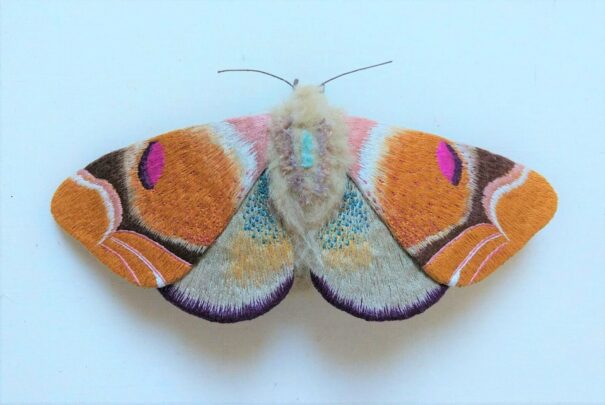 Curated Fiberg Sustainable Moth Gallery View 36