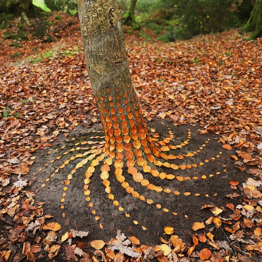 15 Striking Autumn Leaves Arrangement By Land Artist Jon Foreman DeMilked