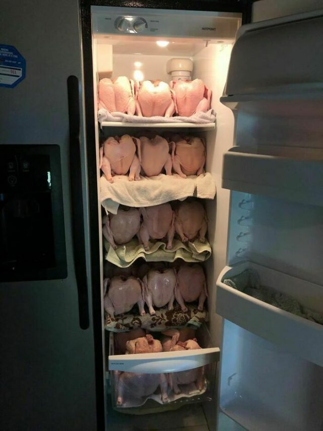 20 People Are Sharing Weird Fridge Interiors, And Here Are 20 Of The