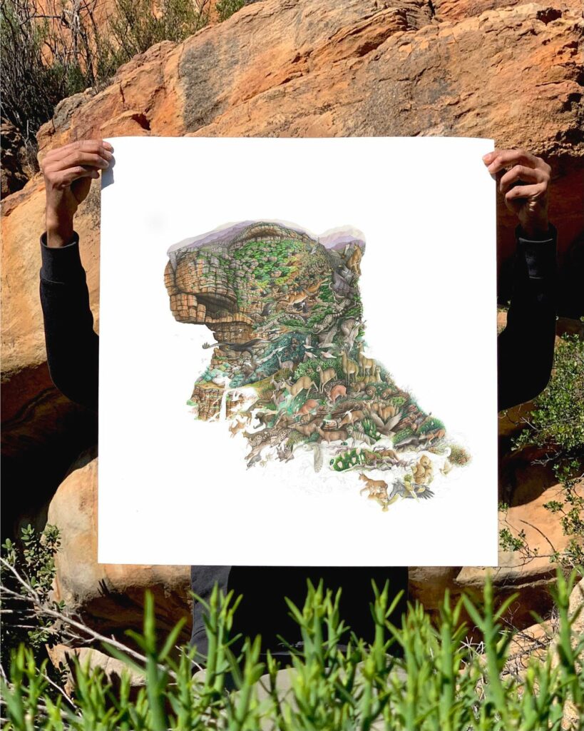 15 Watercolor Paintings Of South African Wildlife And Their Habitats