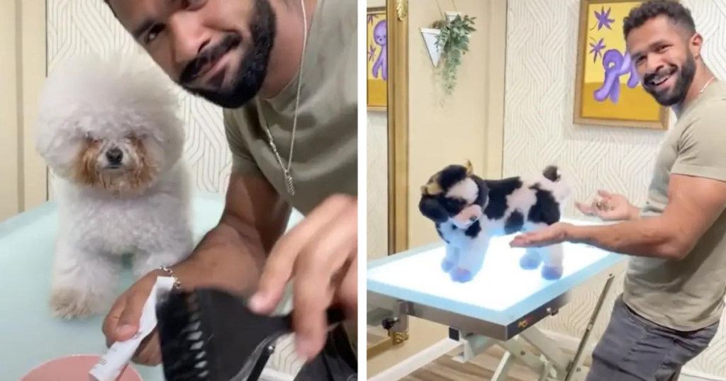 Viral Dog Groomer Gabriel Feitosa Transforms Dogs Into Other Adorable