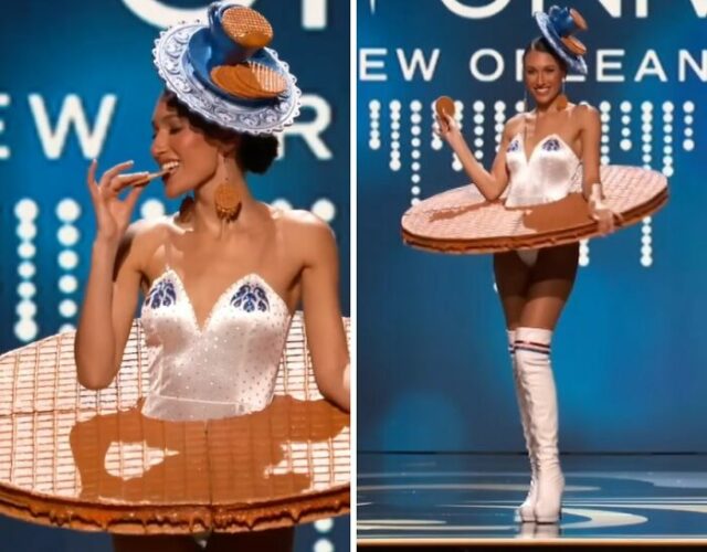 20 Of The Best National Costumes Worn By The Miss Universe Contestants