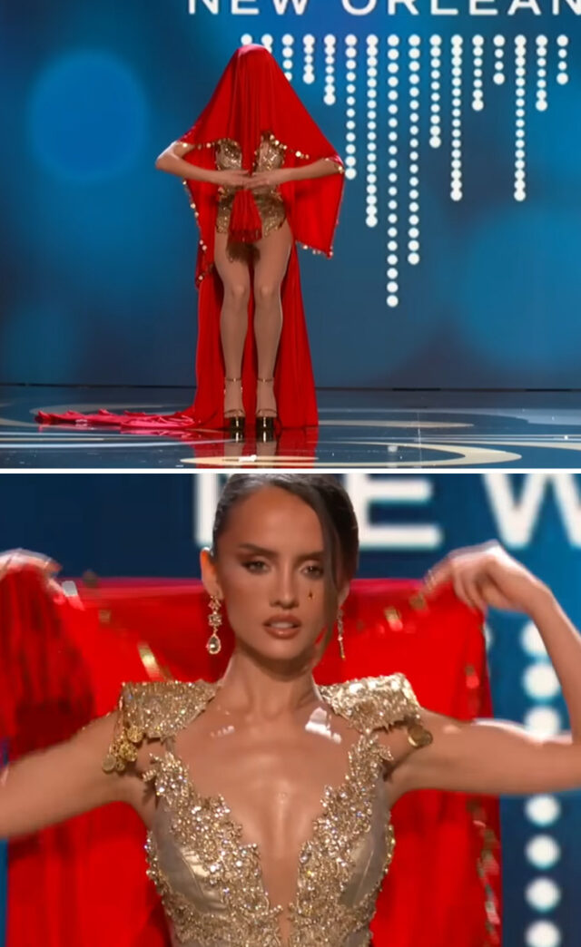 20 Of The Best National Costumes Worn By The Miss Universe Contestants