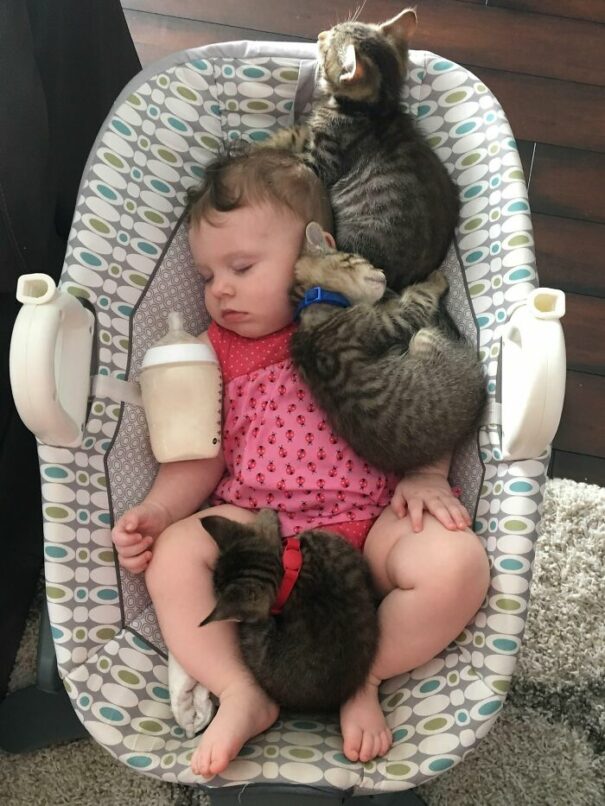 20 Pics Showing Beautiful Relationship Between Cats And Babies DeMilked