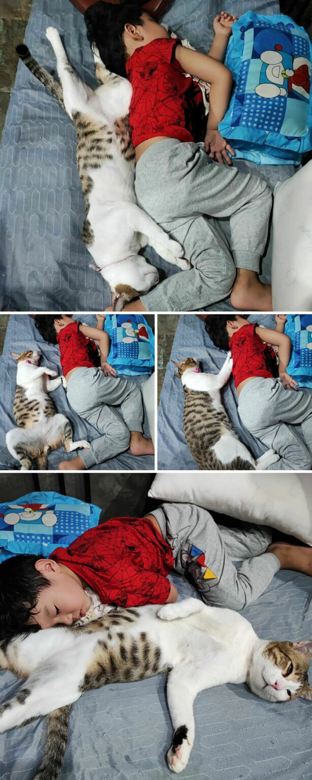 20 Pics Showing Beautiful Relationship Between Cats And Babies DeMilked