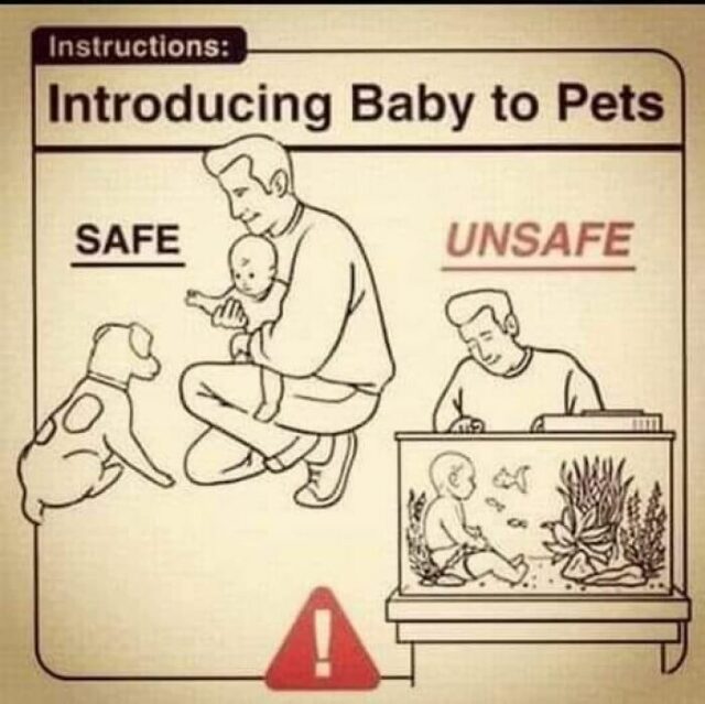 20 Of The Weirdest Signs Spotted Around The World, As Shared By This ...