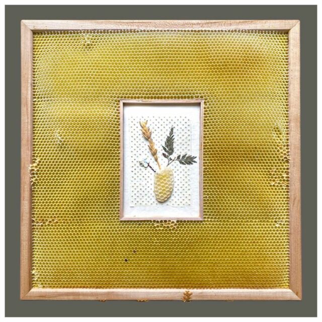 Artist Collaborates With Bees To Create Delicate Embroideries (10 Pics ...