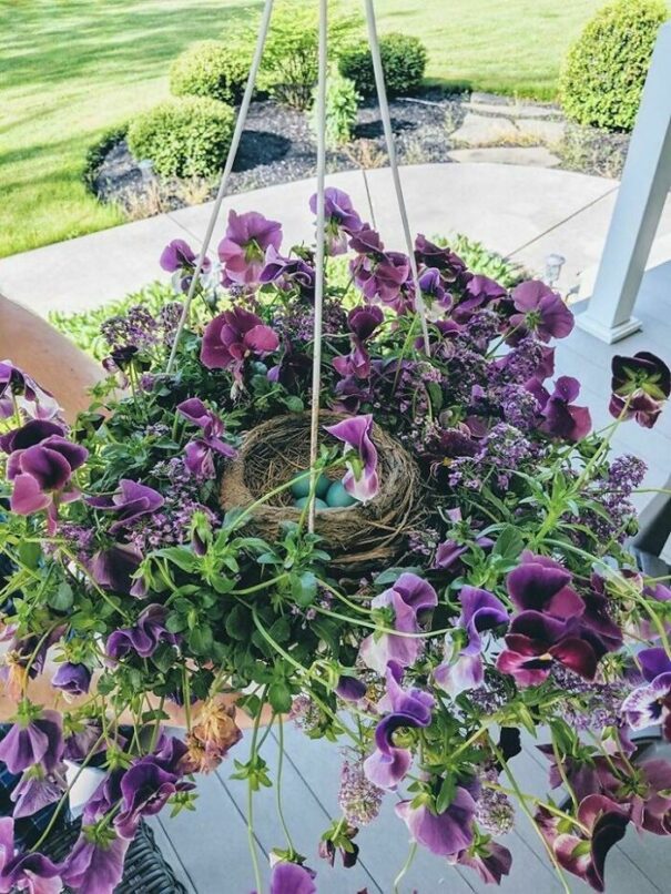 30 Birds Who Built Nests In The Most Unlikely Spots DeMilked