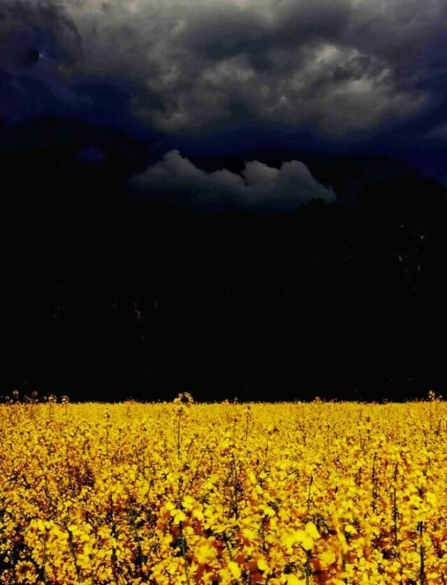 20 Minimalist Pics That Highlight The Simplicity And Beauty Of "Less Is