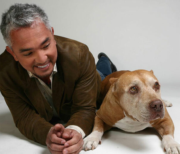 12 Bodyguards Open Up About The Best And Worst Celebs They Had To