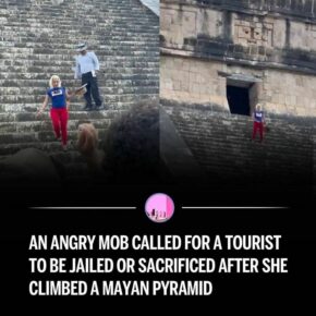 20 Influencers Caught In Ridiculous Acts For Social Media Fame | DeMilked