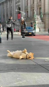 20 Influencers Caught In Ridiculous Acts For Social Media Fame | DeMilked