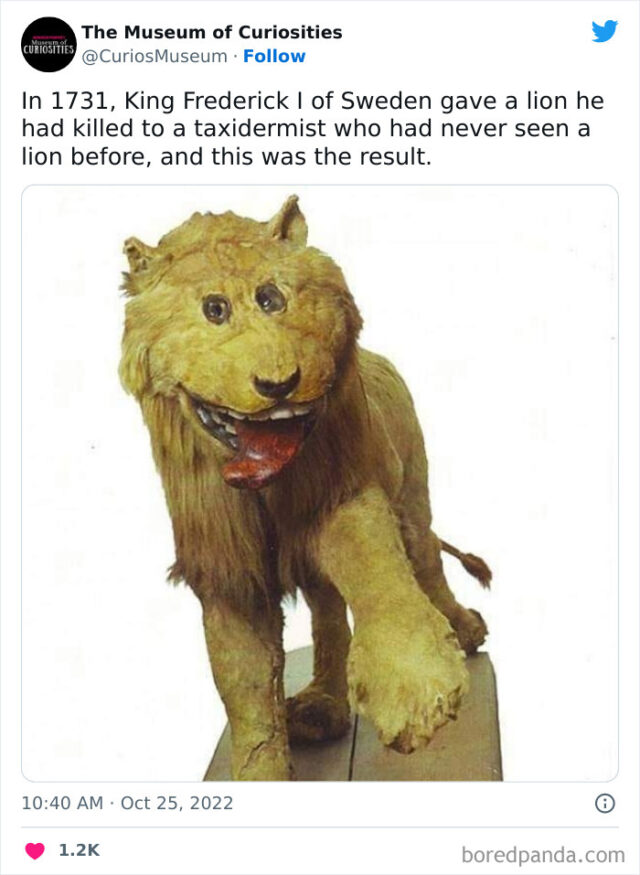 30 Weird, Disturbing, And Intriguing Exhibits At The Online Twitter ...