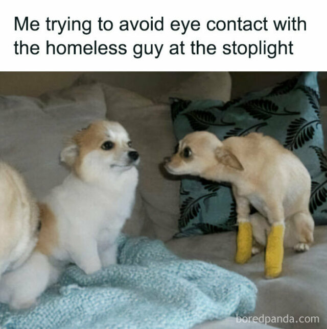 20 Chucklesome ‘Relatable Memes’ Found On This Page With More Than 1.4 ...