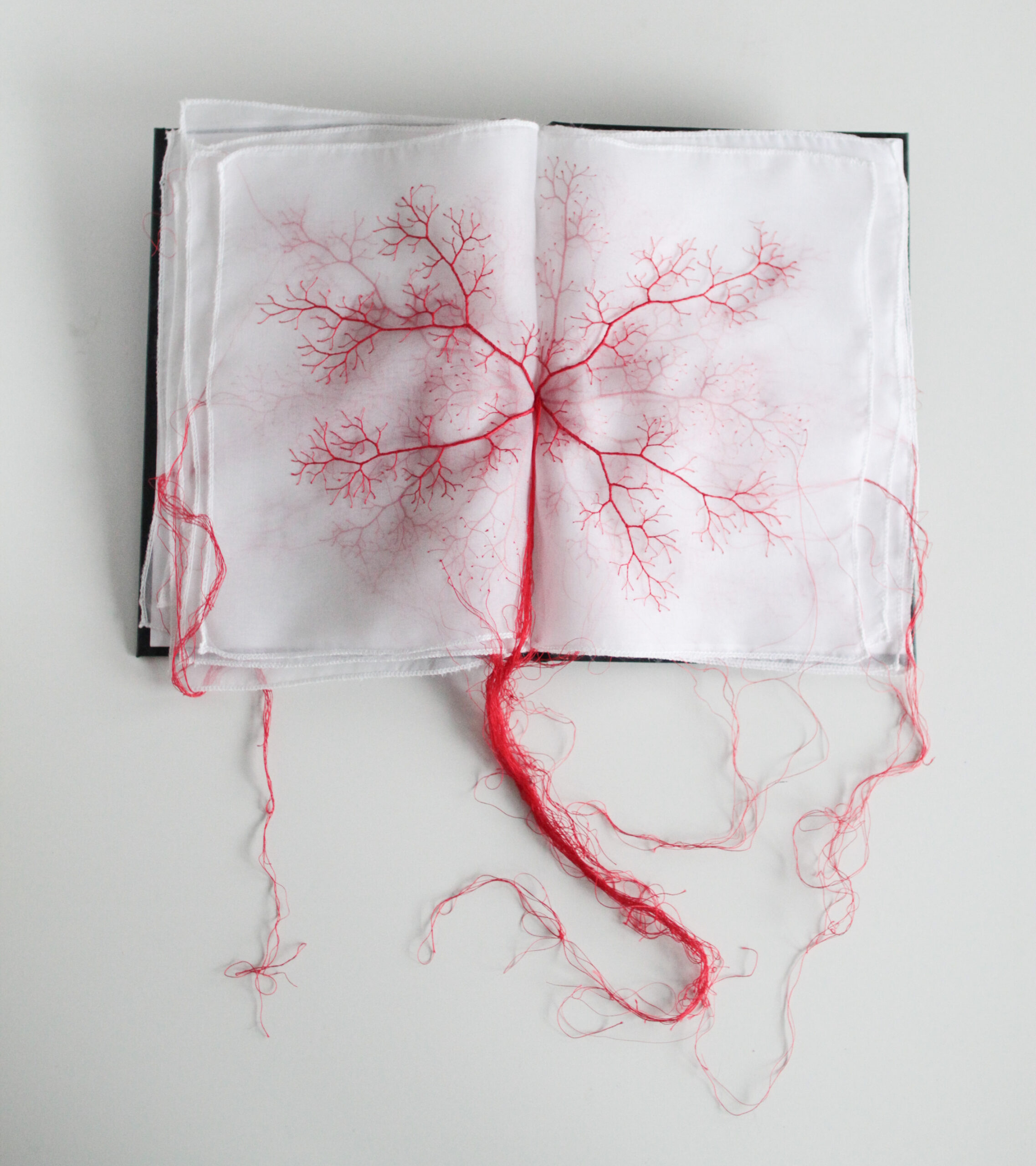 Artist's Red Thread Art Captures History, Nature, and Human Journey (10  Pics)